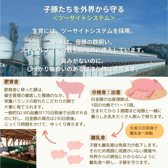 ＼半額／【限定2,000個】2月決算セール開催中！ ☆ 送料無料・冷蔵配送 【 白金豚 メガ盛り 3kg 万能 スライス 小間 500g 6パック 】 国産 切り落とし 豚こま 小分け 大容量 岩手県産 豚肉 プラチナポーク ブランド豚 お取り寄せ グルメ