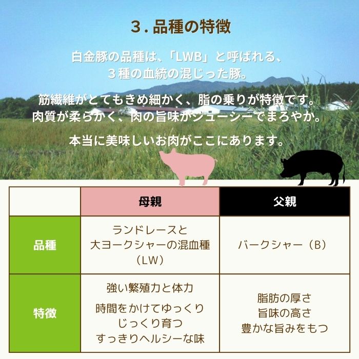＼半額／【限定2,000個】2月決算セール開催中！ ☆ 送料無料・冷蔵配送 【 白金豚 メガ盛り 3kg 万能 スライス 小間 500g 6パック 】 国産 切り落とし 豚こま 小分け 大容量 岩手県産 豚肉 プラチナポーク ブランド豚 お取り寄せ グルメ