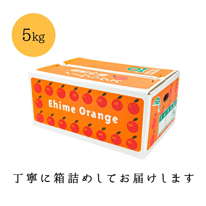 大豊作祭 期間限定 特価＼楽天スーパーセール 4日 20:00 スタート／★愛媛が誇る 高級みかん 希少品種★創業85年 愛媛 みかん の老舗【産地直送】愛媛産 甘平 かんぺい 訳あり 5kg 「訳あり甘平5」 甘平みかん 西宇和みかん
