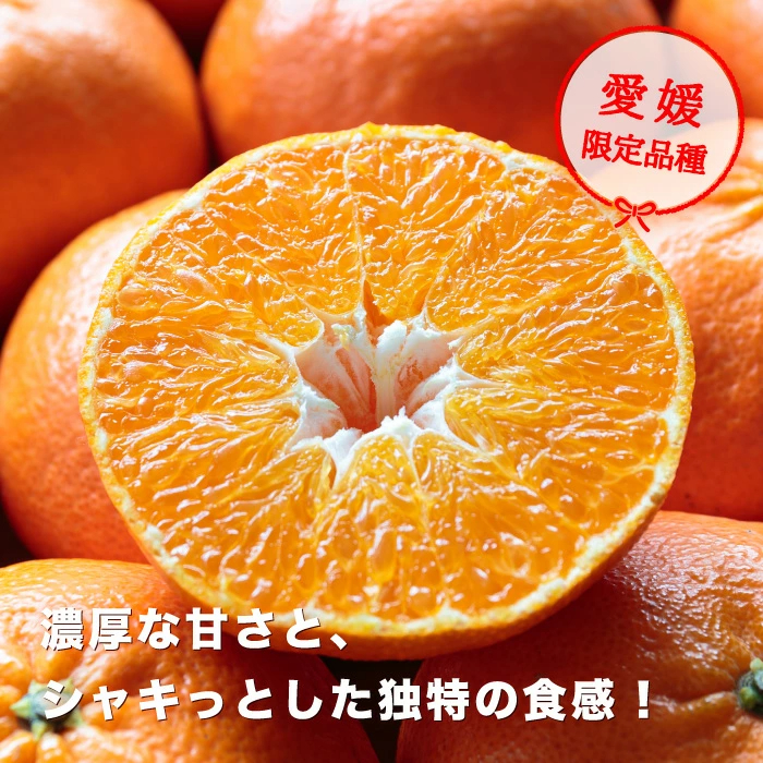 大豊作祭 期間限定 特価＼楽天スーパーセール 4日 20:00 スタート／★愛媛が誇る 高級みかん 希少品種★創業85年 愛媛 みかん の老舗【産地直送】愛媛産 甘平 かんぺい 訳あり 5kg 「訳あり甘平5」 甘平みかん 西宇和みかん