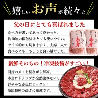 馬刺し 【祝★グルメ大賞8年受賞！クーポンあり】 ヘルシー 赤身 バレンタイン 甘くない 甘いものが苦手 大人用 ギフト 父の日ギフト 2026 馬刺 馬肉 グルメ おつまみ お肉 プレゼント 食べ物 父誕生日 実用的 お取り寄せグルメ おつまみセット 食品 父 誕生日 若丸