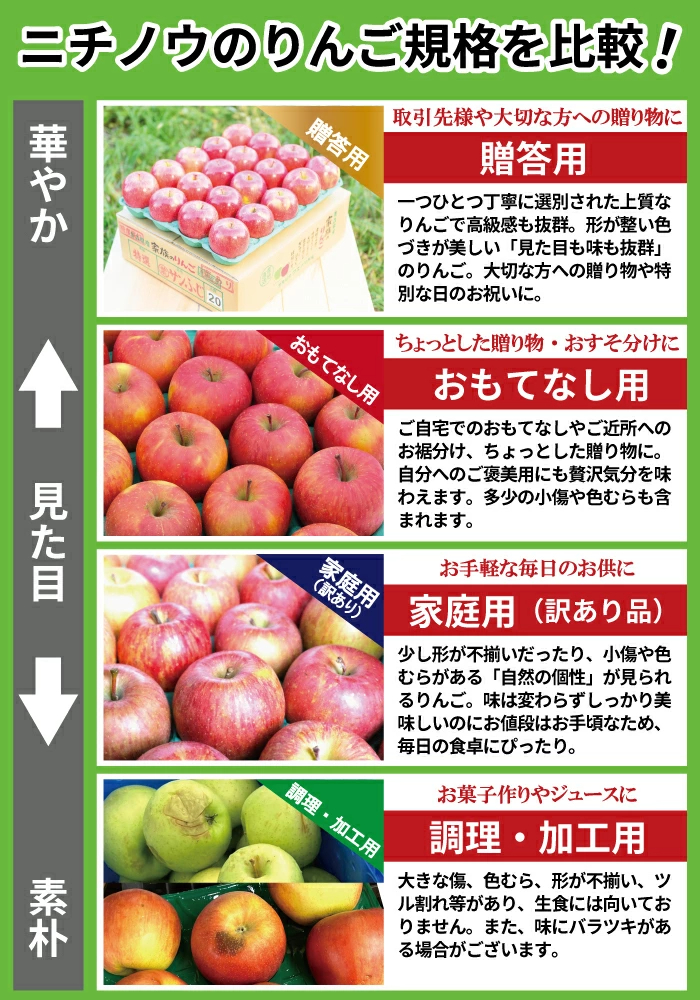 青森県産 加工用 りんご10,20kg 送料無料 激安 品種おまかせ 産地直送 訳ありりんご