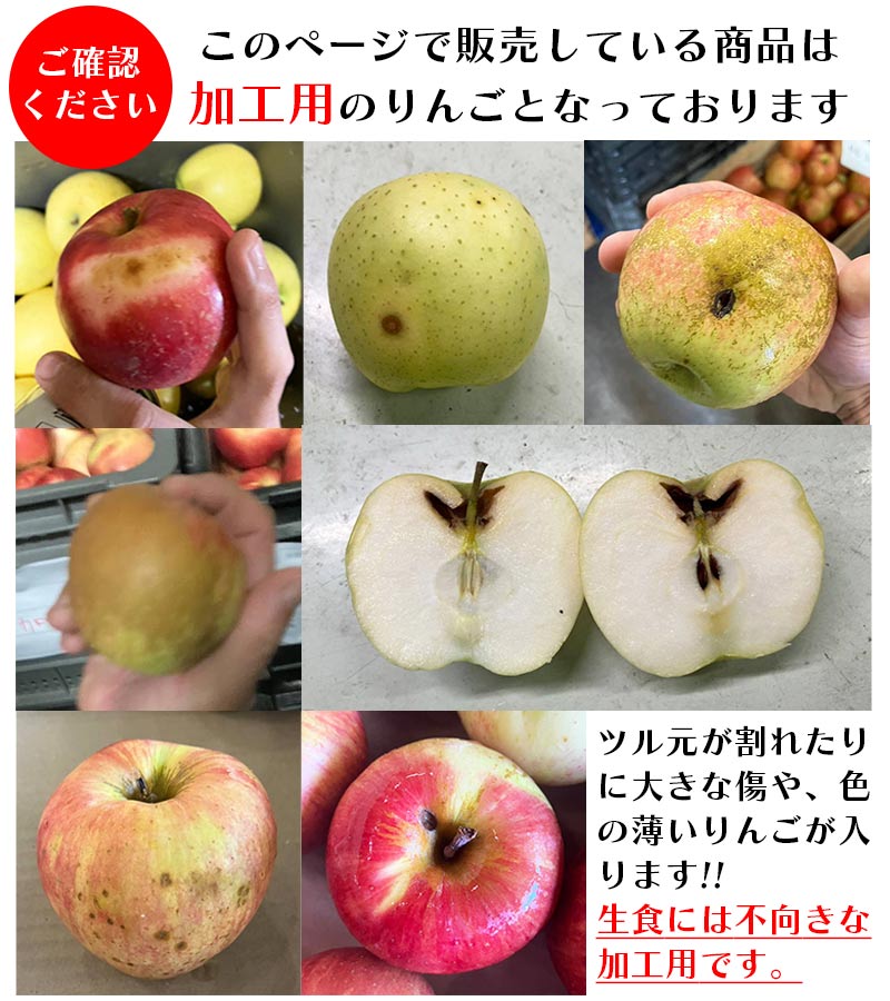 青森県産 加工用 りんご10,20kg 送料無料 激安 品種おまかせ 産地直送 訳ありりんご