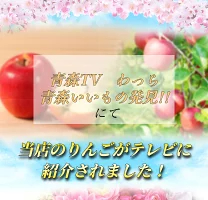 優良店舗 認定　割引ｸｰﾎﾟﾝ＋ﾎﾟｲﾝﾄ最大10倍 光センサーりんご 楽天優良 認定店 【増量】 グルメ大賞 青森県産 りんご 規格外品 サンふじ ふじ  サンつがる 規格外 訳あり 家庭用 ジュース リンゴジュース 1.5kg 2kg 3kg 5kg 10kg 2キロ 3キロ 5キロ 10キロ