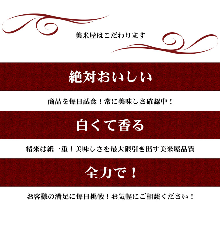 （ 在庫あり新米 米 白米 15kg 送料無料 コシヒカリ 5kg×3袋 愛知県産 令和7年産 コシヒカリ お米 15キロ 安い あす楽 送料無料【沖縄、配送不可】