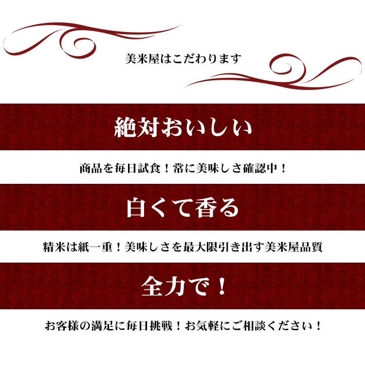 （ 在庫あり新米 米 白米 15kg 送料無料 コシヒカリ 5kg×3袋 愛知県産 令和7年産 コシヒカリ お米 15キロ 安い あす楽 送料無料【沖縄、配送不可】