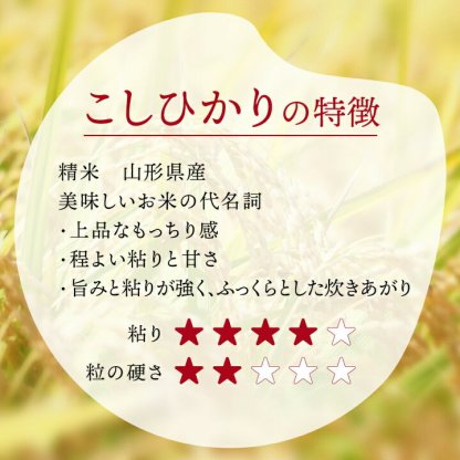 ＜在庫あり 値上げが近づいている＞令和7年産 山形県産 米 コシヒカリ こしひかり 15kg (5kg×3袋) 高評価 新米 お米 コメ 精米 お米 白米 ご飯 新米 単一原料米 令和7年産 15kg コメ 仕送り ギフト プレゼント 精米したて 送料無料 米 15kg