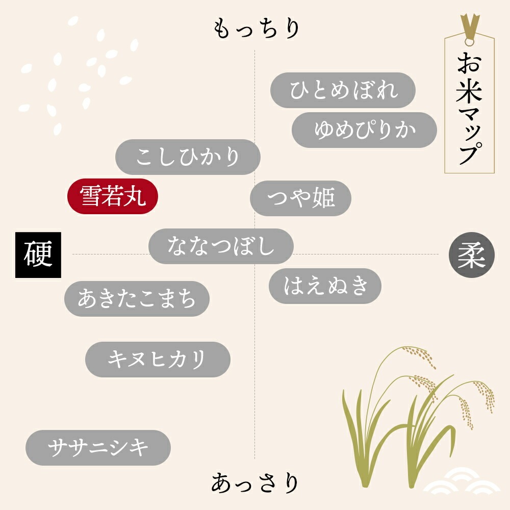 ＜ 在庫あり＞令和7年産 山形県 雪若丸 15kg 精米 お米 コメ 令和7年 山形県産 送料無料 お米 白米 ご飯 新米 単一原料米 15kg(5kg×3袋) コメ 米 15kg