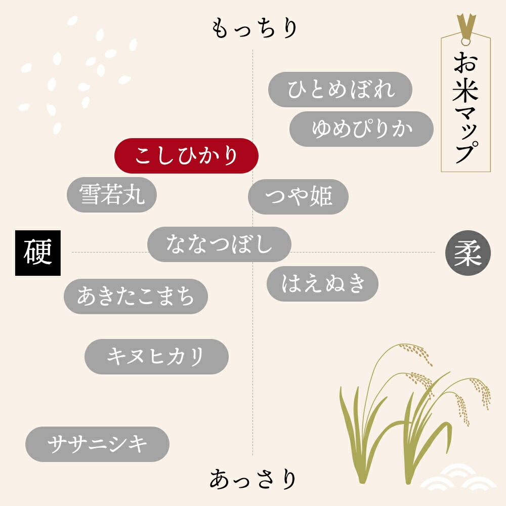 ＜在庫あり 値上げが近づいている＞令和7年産 山形県産 米 コシヒカリ こしひかり 15kg (5kg×3袋) 高評価 新米 お米 コメ 精米 お米 白米 ご飯 新米 単一原料米 令和7年産 15kg コメ 仕送り ギフト プレゼント 精米したて 送料無料 米 15kg