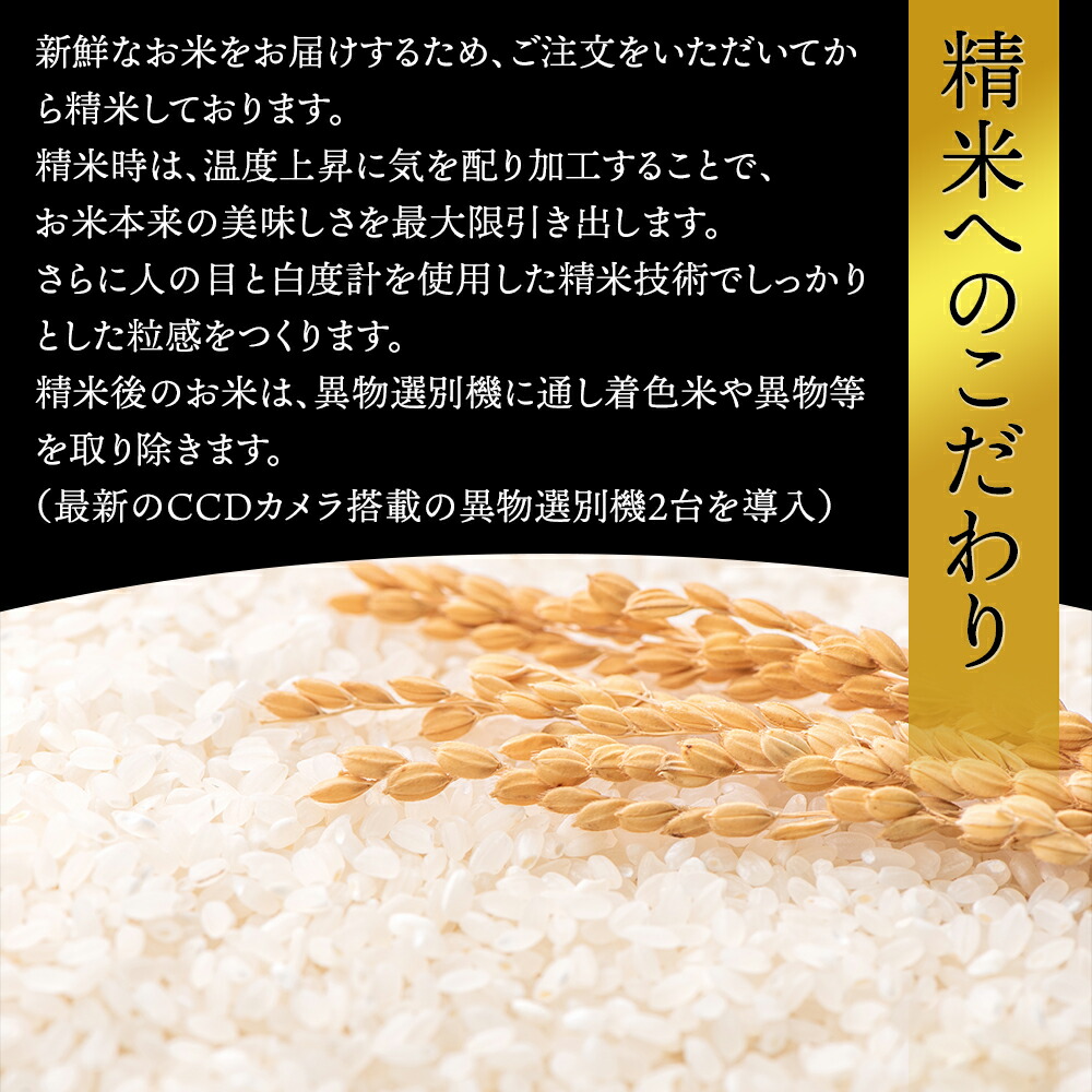 ＜ 在庫あり＞令和7年産 山形県 雪若丸 15kg 精米 お米 コメ 令和7年 山形県産 送料無料 お米 白米 ご飯 新米 単一原料米 15kg(5kg×3袋) コメ 米 15kg