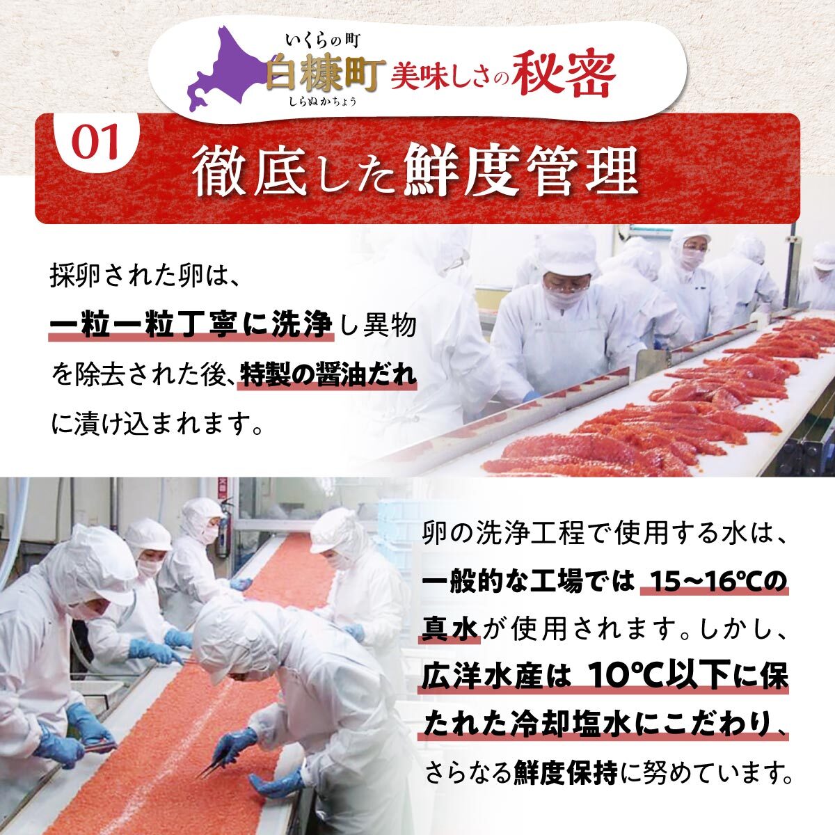 【ふるさと納税】総合1位常連 いくらの町しらぬか 鮭 いくら 醤油漬け 400g / 800g(200gパック)【内容量が選べる】 ふるさと納税 海鮮 北海道 イクラ 小分け ふるさと ランキング 人気 高評価 白糠町