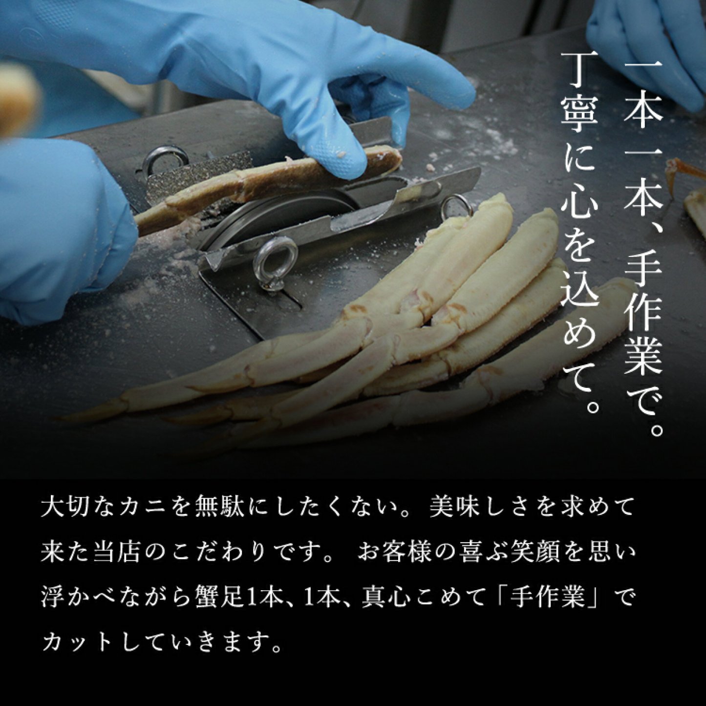 敬老の日 まだ間に合う！★年末早割クーポンで送料無料 最大3kg★選べるメガ盛元祖カット済生ずわい蟹or生棒ポーションor爪下肩肉3kg お歳暮 かに カニ むき身 鍋 カニしゃぶ お取り寄せ ギフト 福袋 グルメ プレゼント ズワイガニ