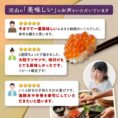 【ふるさと納税】総合1位常連 いくらの町しらぬか 鮭 いくら 醤油漬け 400g / 800g(200gパック)【内容量が選べる】 ふるさと納税 海鮮 北海道 イクラ 小分け ふるさと ランキング 人気 高評価 白糠町