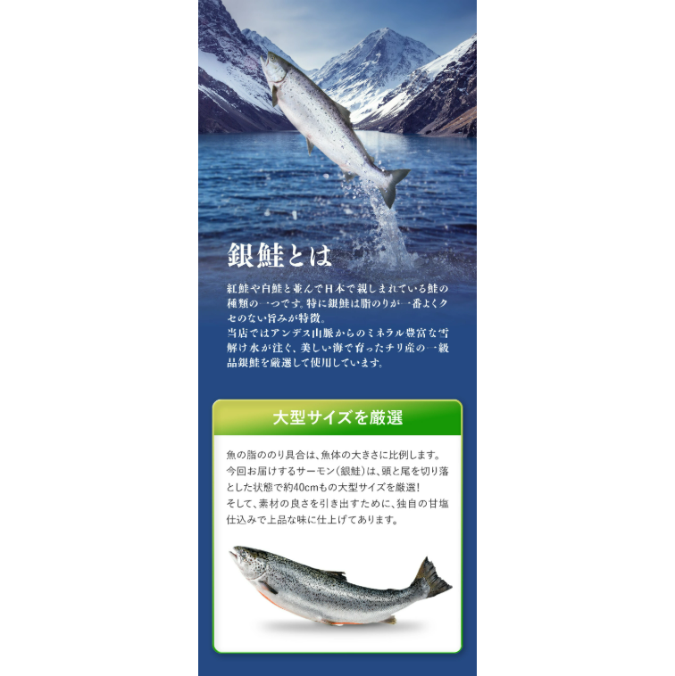 相場高騰中のところ店長大暴走で半額！9,980円⇒送料無料4,990円！「有塩or無塩」が選べる！⇒銀鮭 切り身 業務用 たっぷり2kg（約10切れ×2袋） 冷凍食品