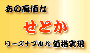 ★本日10％OFFクーポン★　極める　せとか　たっぷり3kg⇒10%OFFクーポンで3,384円★TVで話題！極める　せとか　みかん★クーポンで最安値に挑戦！極める！大人気のトロトロせとか・2箱以上注文で送料無料サービス付・福袋