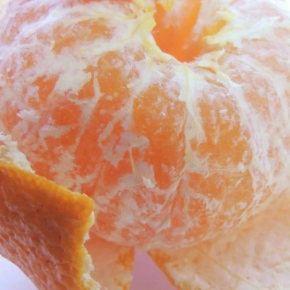 3営業日以内速攻出荷♪愛媛産 特に訳ありデコみかん 10kg(+約0.5kg多め)不揃い 傷 汚れ有 不知火・デコポンの規格外品 愛媛県産 家庭用 フルーツ 果物 くだもの 果実 食品 みかん 箱買い お取り寄せグルメ 蜜柑 柑橘類 かんきつ 産地直送