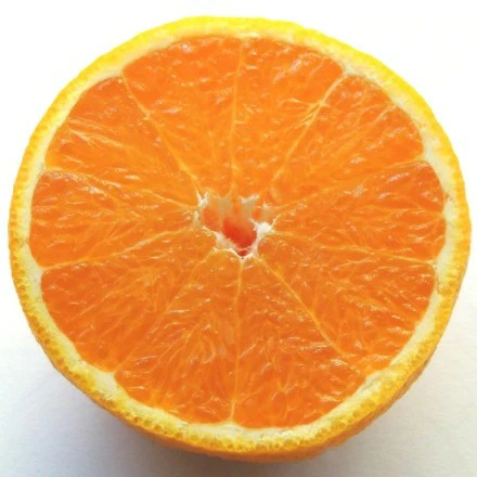 3営業日以内速攻出荷♪愛媛産 特に訳ありデコみかん 10kg(+約0.5kg多め)不揃い 傷 汚れ有 不知火・デコポンの規格外品 愛媛県産 家庭用 フルーツ 果物 くだもの 果実 食品 みかん 箱買い お取り寄せグルメ 蜜柑 柑橘類 かんきつ 産地直送