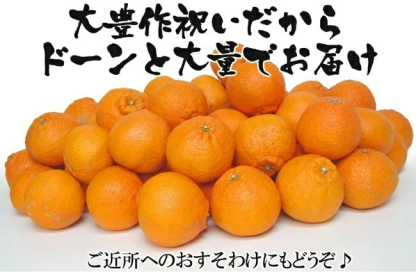3営業日以内速攻出荷♪愛媛産 特に訳ありデコみかん 10kg(+約0.5kg多め)不揃い 傷 汚れ有 不知火・デコポンの規格外品 愛媛県産 家庭用 フルーツ 果物 くだもの 果実 食品 みかん 箱買い お取り寄せグルメ 蜜柑 柑橘類 かんきつ 産地直送