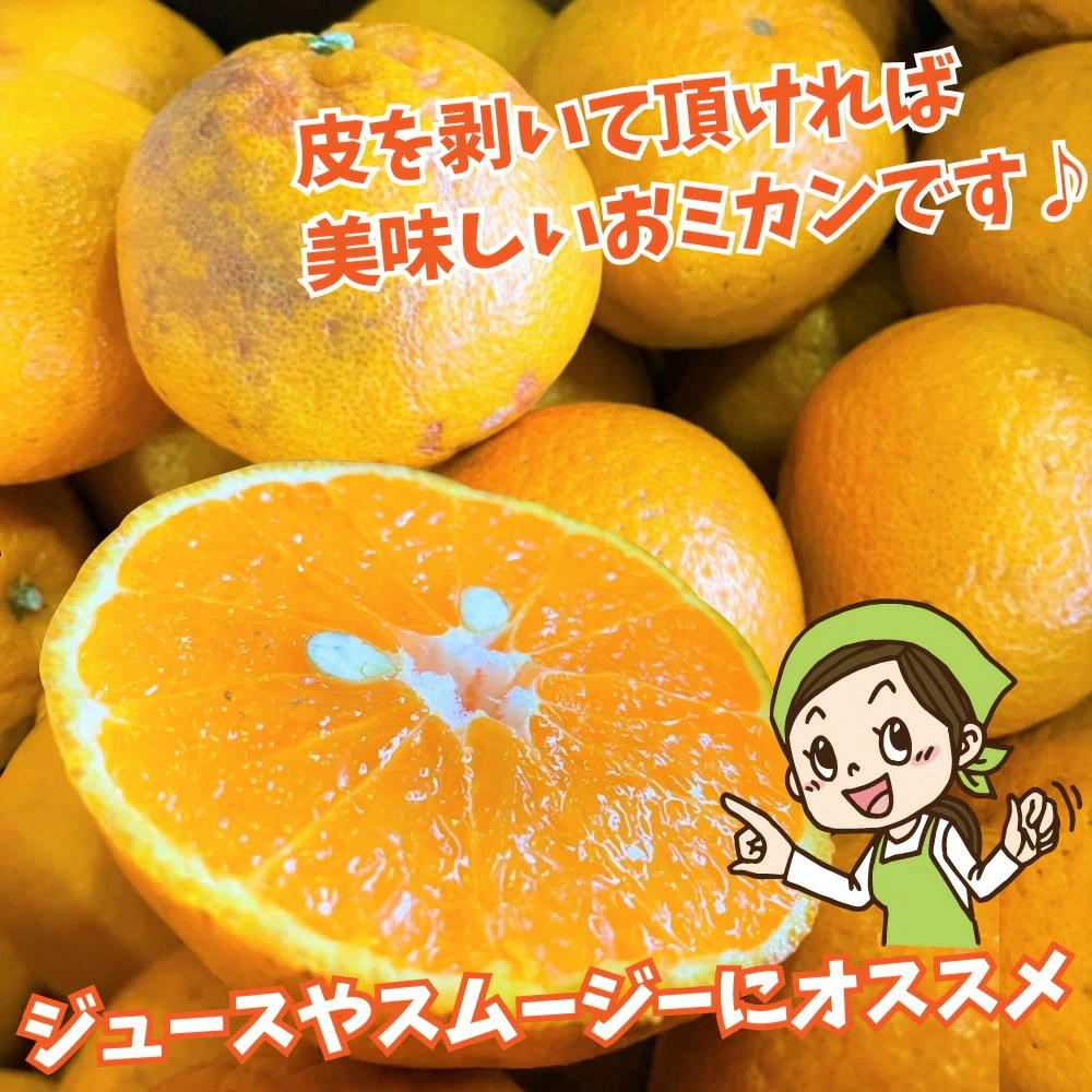 3営業日以内速攻出荷♪愛媛産 特に訳ありデコみかん 10kg(+約0.5kg多め)不揃い 傷 汚れ有 不知火・デコポンの規格外品 愛媛県産 家庭用 フルーツ 果物 くだもの 果実 食品 みかん 箱買い お取り寄せグルメ 蜜柑 柑橘類 かんきつ 産地直送