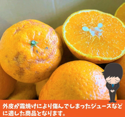 3営業日以内速攻出荷♪愛媛産 特に訳ありデコみかん 10kg(+約0.5kg多め)不揃い 傷 汚れ有 不知火・デコポンの規格外品 愛媛県産 家庭用 フルーツ 果物 くだもの 果実 食品 みかん 箱買い お取り寄せグルメ 蜜柑 柑橘類 かんきつ 産地直送