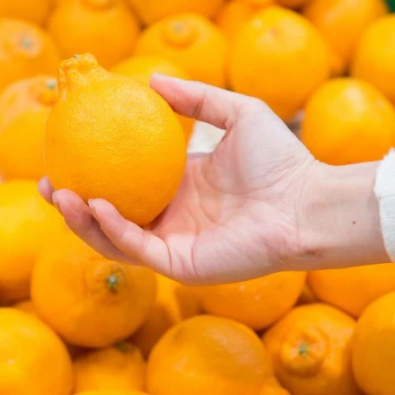 3営業日以内速攻出荷♪愛媛産 特に訳ありデコみかん 10kg(+約0.5kg多め)不揃い 傷 汚れ有 不知火・デコポンの規格外品 愛媛県産 家庭用 フルーツ 果物 くだもの 果実 食品 みかん 箱買い お取り寄せグルメ 蜜柑 柑橘類 かんきつ 産地直送