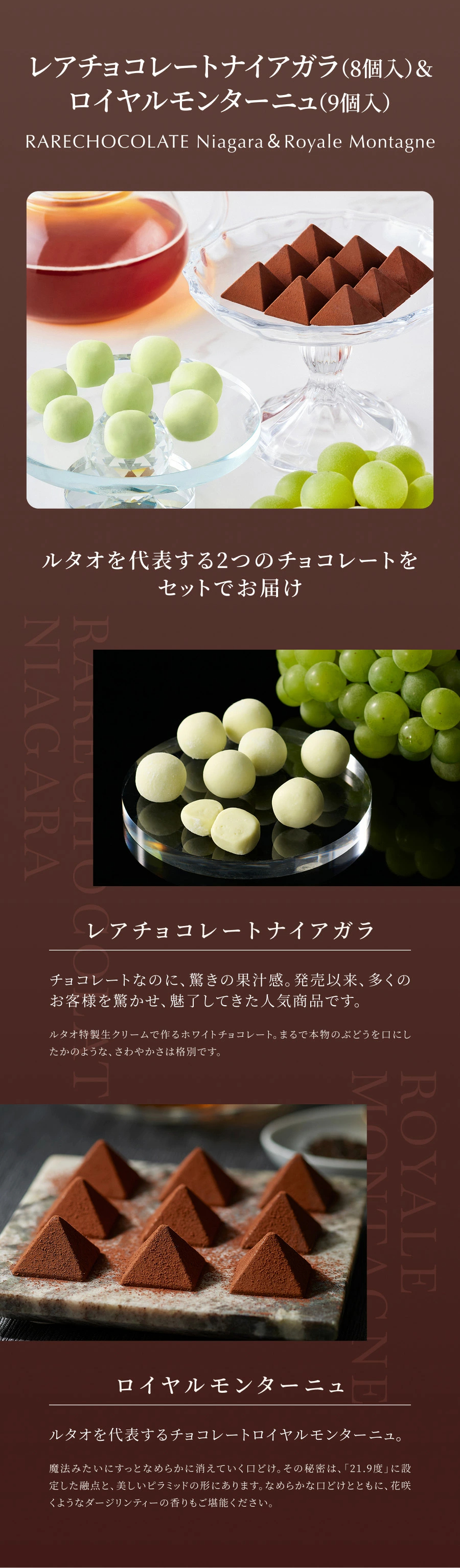 遅れてごめんね バレンタイン ルタオ LeTAO 2026 バレンタインデー チョコケーキ チーズケーキ ケーキ スイーツ 2個 セット チョコレートチーズケーキ 誕生日 洋菓子 プレゼント ギフト 誕生日 お取り寄せ 北海道 とろけるショコラセット