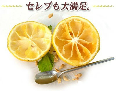 愛媛産 はるか 10kg 訳あり 不揃い 愛媛県産 春香 家庭用 フルーツ 果物 くだもの 果実 青果 食品 みかん 箱買い 蜜柑 柑橘類 かんきつ おやつ デザート 冬の味覚 産地直送