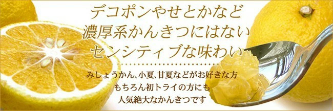 愛媛産 はるか 10kg 訳あり 不揃い 愛媛県産 春香 家庭用 フルーツ 果物 くだもの 果実 青果 食品 みかん 箱買い 蜜柑 柑橘類 かんきつ おやつ デザート 冬の味覚 産地直送