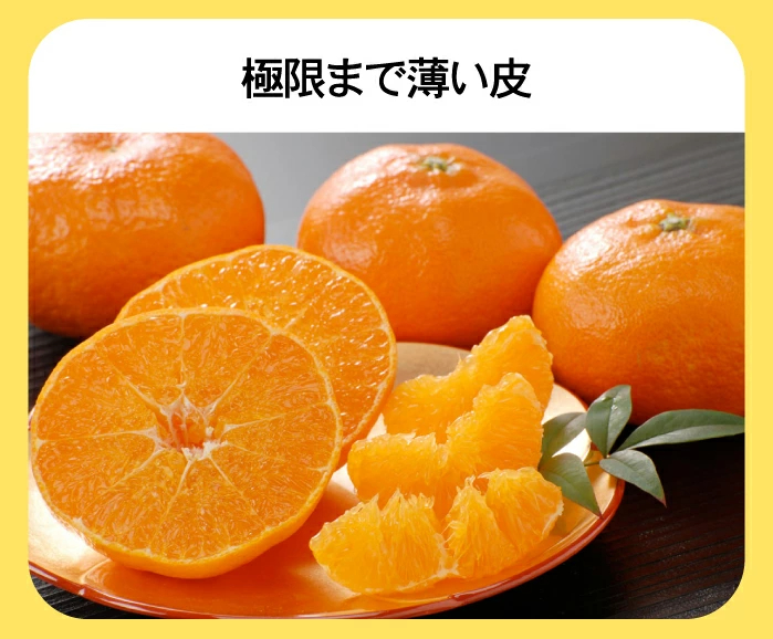 ★20%OFFクーポンで4,384円さらにポイント10倍★　かんぺい 5kg TVで話題！赤字覚悟の大箱5ｋｇ！希少品種・甘平（かんぺい）一度は食べてみたい今話題のレアなみかん！（訳あり・ご家庭用）