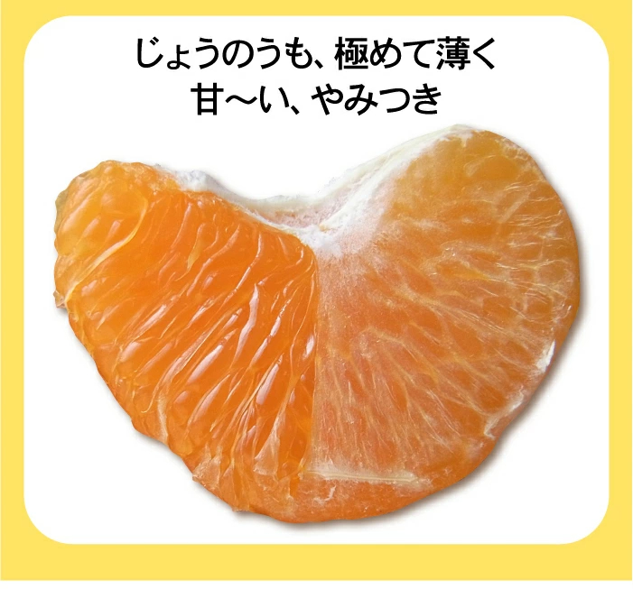 ★20%OFFクーポンで4,384円さらにポイント10倍★　かんぺい 5kg TVで話題！赤字覚悟の大箱5ｋｇ！希少品種・甘平（かんぺい）一度は食べてみたい今話題のレアなみかん！（訳あり・ご家庭用）