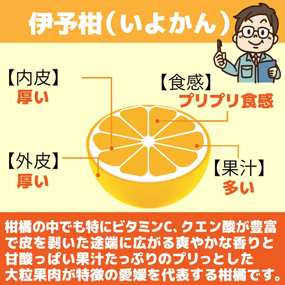 愛媛産 特に訳ありいよかん【送料無料(一部地域除く)】1０kg(+約0.5kg多め)不揃い 傷 汚れ有 伊予柑 イヨカン フルーツ 美味しいみかん 果物 くだもの 温州みかん 柑橘類 かんきつ 食品ロス コロナ いよ柑 産地直送 みかん