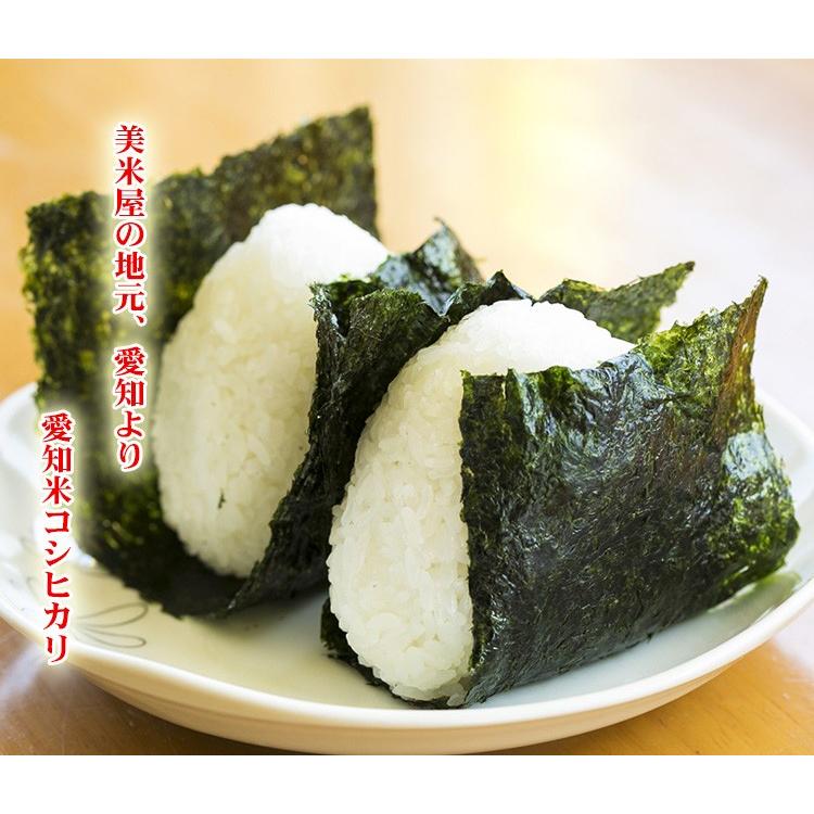 お米 10kg 白米 送料無料 コシヒカリ 5kg×2袋 愛知県産 こしひかり 令和7年産 米 あす着く 食品 北海道・沖縄は追加送料 ポイント利用