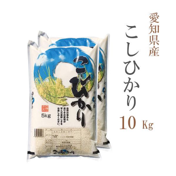 お米 10kg 白米 送料無料 コシヒカリ 5kg×2袋 愛知県産 こしひかり 令和7年産 米 あす着く 食品 北海道・沖縄は追加送料 ポイント利用