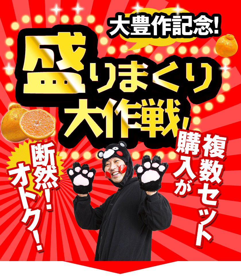 おまけ＋１００％増量 熊本県産 デコみかん 訳あり 1.5kg 送料無料 最短翌日出荷 2セット以上購入でおまけ増量 デコポン と同品種 不知火 みかん ミカン 熊本 柑橘 くまもと風土 買い回り 《1-5営業日以内に発送予定》