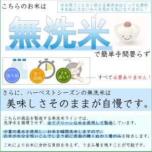 [受賞記念特価] 令和7年産 無洗米 山形県産 あきたこまち 10kg 5kg×2袋 送料無料 [年間ランキング グルメ大賞]Shop Of The Year 米大賞 ハーベストシーズン