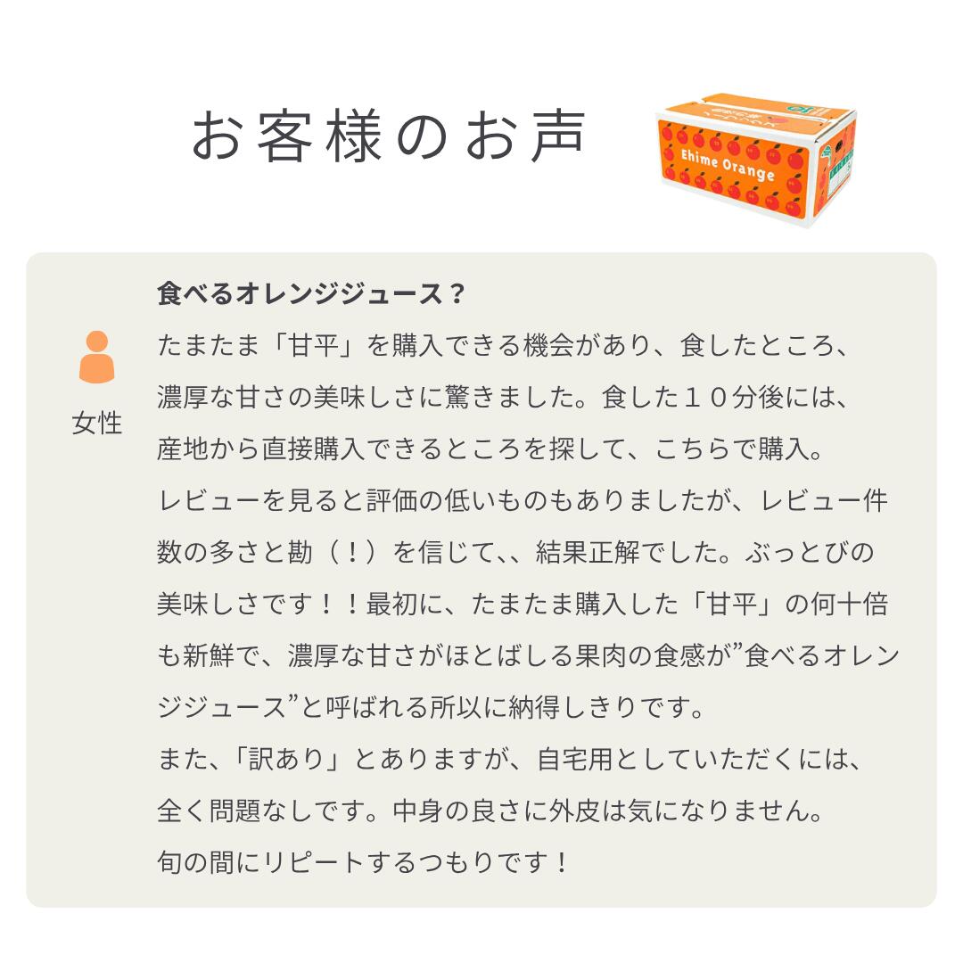 大豊作祭 期間限定 特価＼楽天スーパーセール 4日 20:00 スタート／★愛媛が誇る 高級みかん 希少品種★創業85年 愛媛 みかん の老舗【産地直送】愛媛産 甘平 かんぺい 訳あり 5kg 「訳あり甘平5」 甘平みかん 西宇和みかん