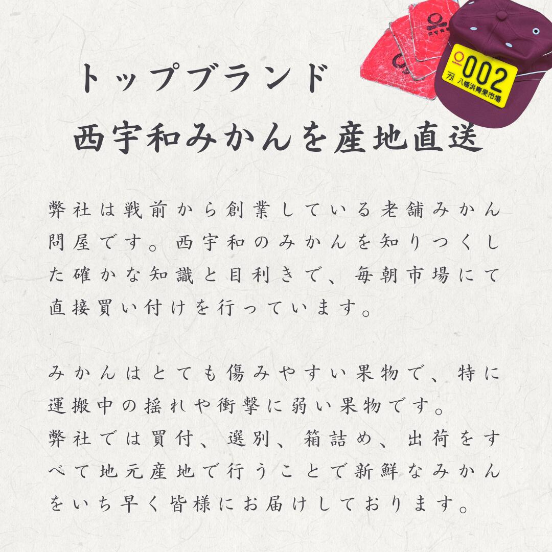 大豊作祭 期間限定 特価＼楽天スーパーセール 4日 20:00 スタート／★愛媛が誇る 高級みかん 希少品種★創業85年 愛媛 みかん の老舗【産地直送】愛媛産 甘平 かんぺい 訳あり 5kg 「訳あり甘平5」 甘平みかん 西宇和みかん