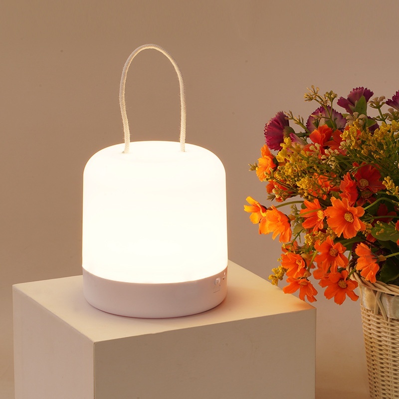 Touch-sensitive dual-tone ambient light