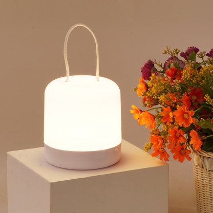 Touch-sensitive dual-tone ambient light