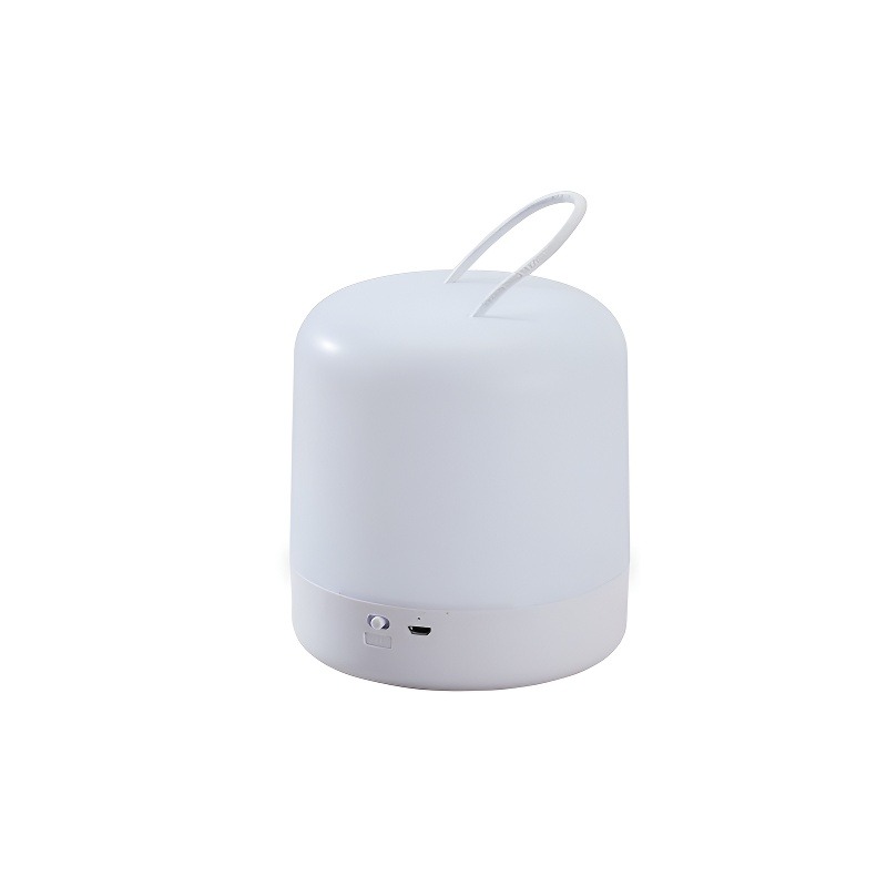 Touch-sensitive dual-tone ambient light