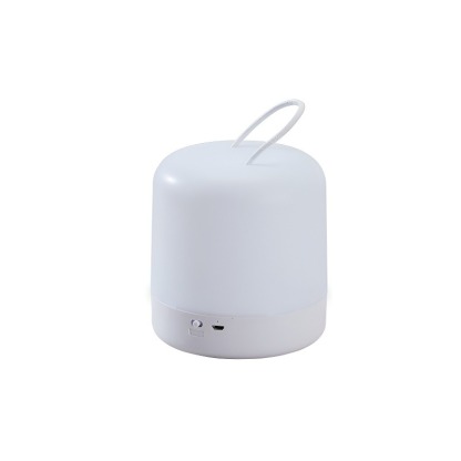 Touch-sensitive dual-tone ambient light