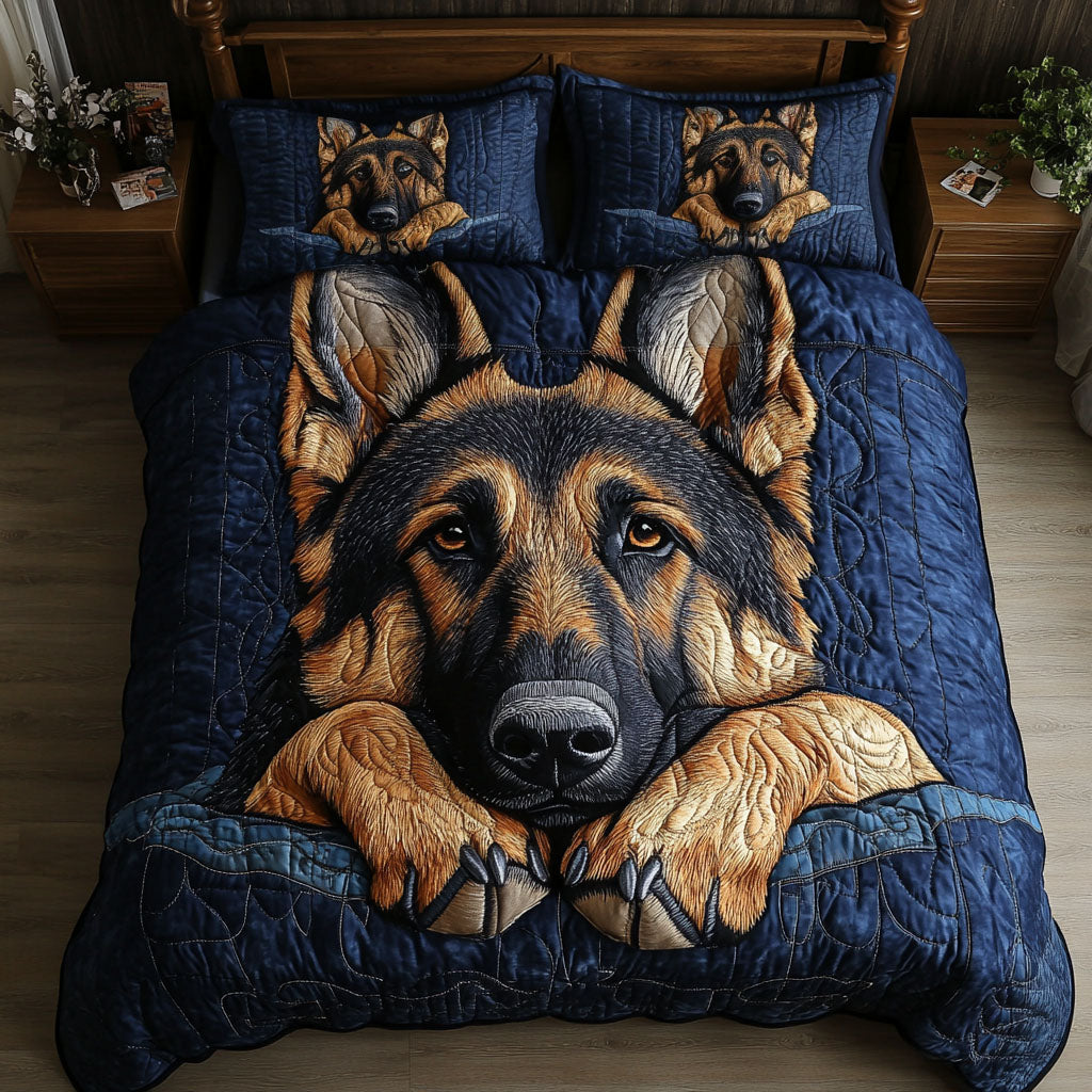Midnight Stare 3-Piece Quilted Bedding Set NCU0NT5353