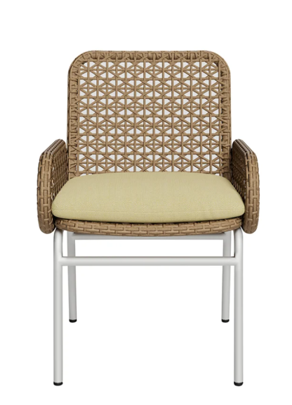 Outdoor Modern Aluminum & Rattan Armchair 