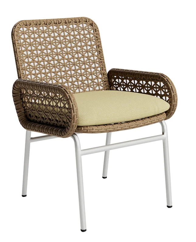 Outdoor Modern Aluminum & Rattan Armchair 