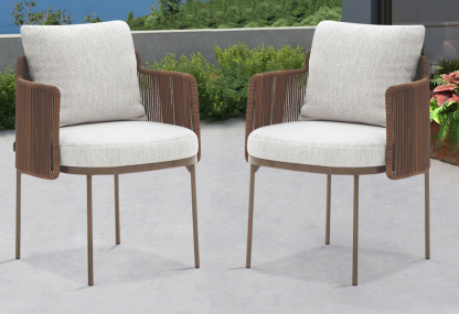 2 Pieces Modern Aluminum & Rattan Chair Set