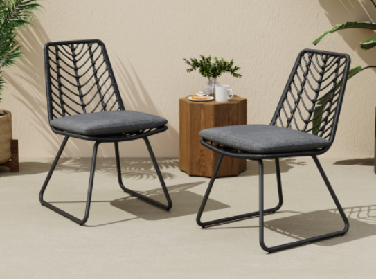 2PCS Chair with Cushions