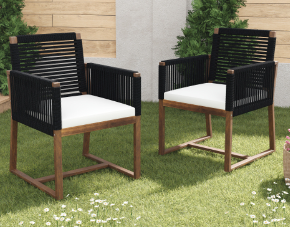 Outdoor Dining Chairs Set of 2, Black 