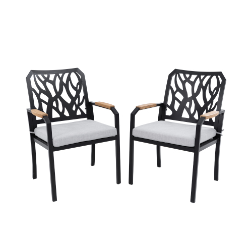 2PCS  Outdoor Patio Chairs 