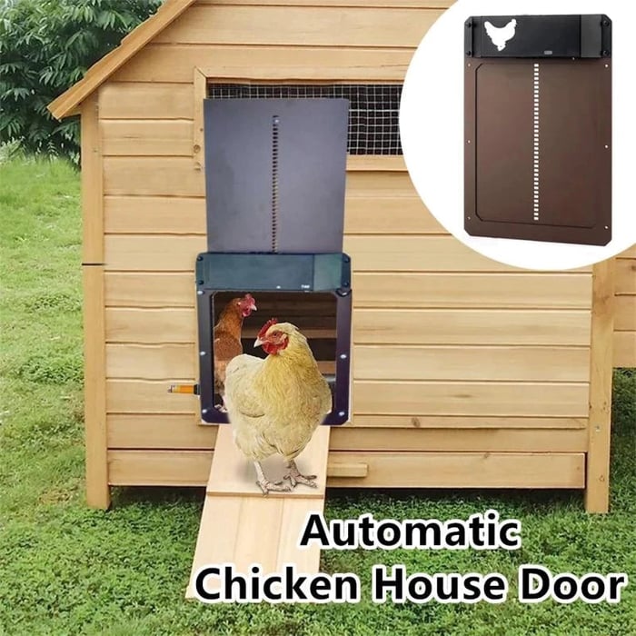 (🎉Flash Sale🎉)-Automatic Chicken Coop Door