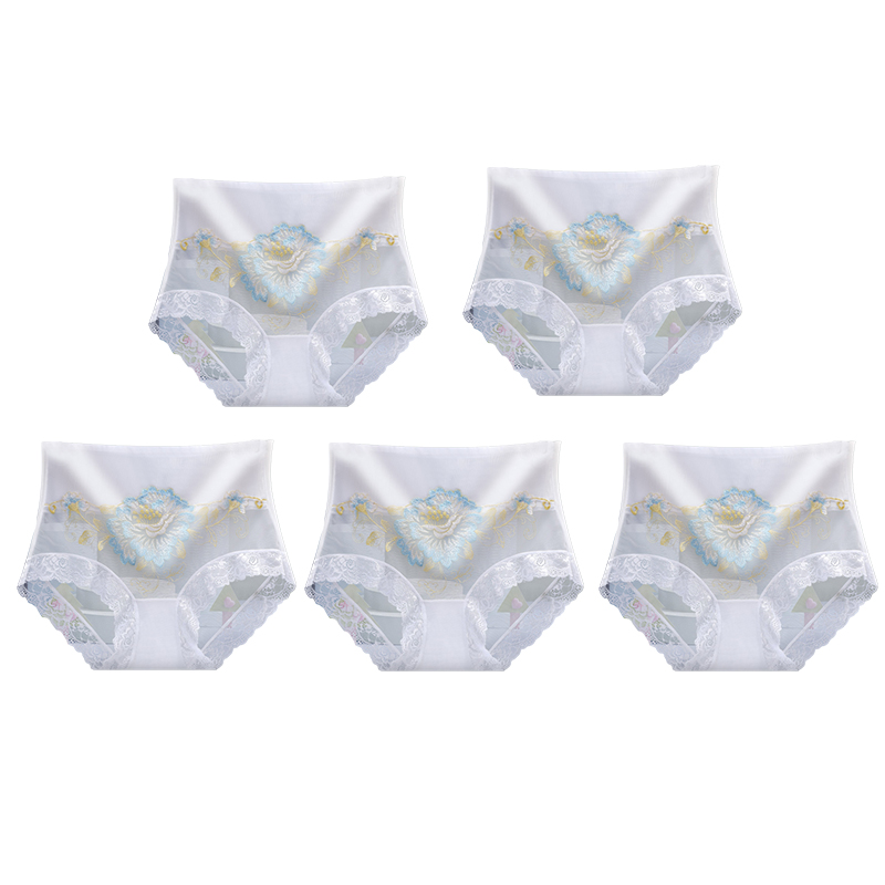 🔥Fizess 1 kapsz 5(5csomag)🔥Magas derekú prémium csipkés hímzett bugyi